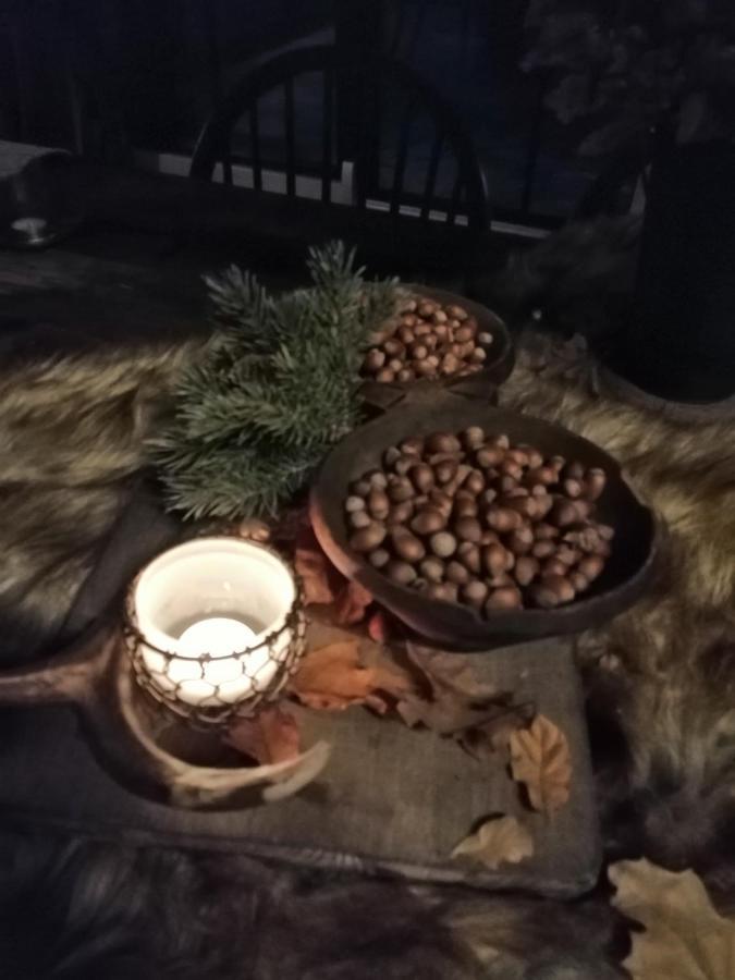 Le Hangar Des Voyageurs Petit-Halleux Εξωτερικό φωτογραφία